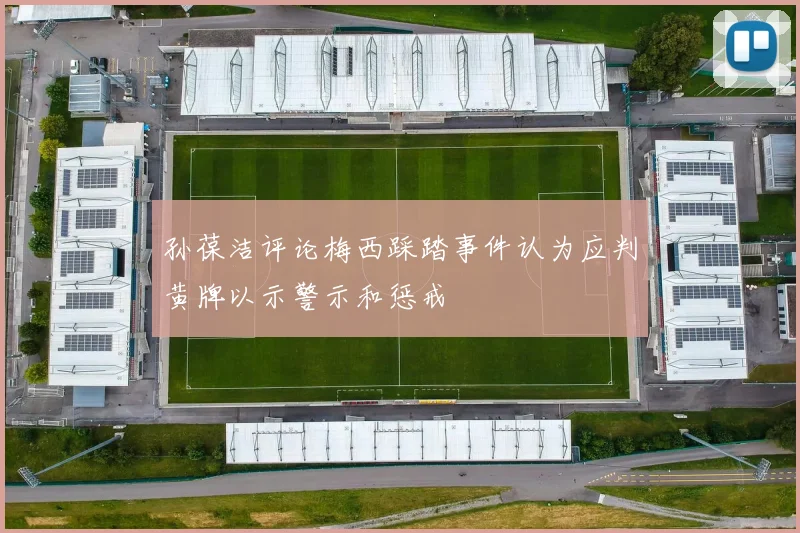 孙葆洁评论梅西踩踏事件认为应判黄牌以示警示和惩戒