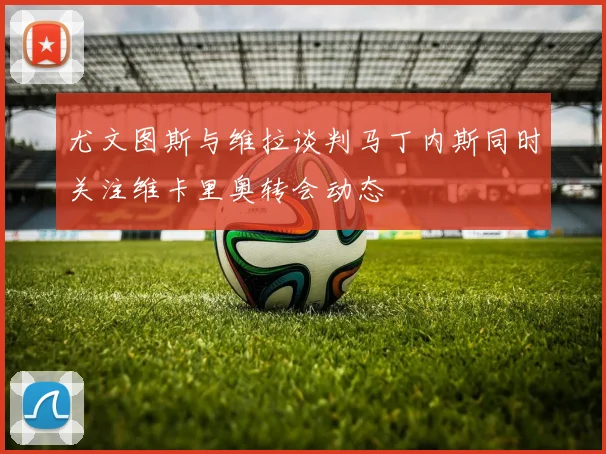 尤文图斯与维拉谈判马丁内斯同时关注维卡里奥转会动态
