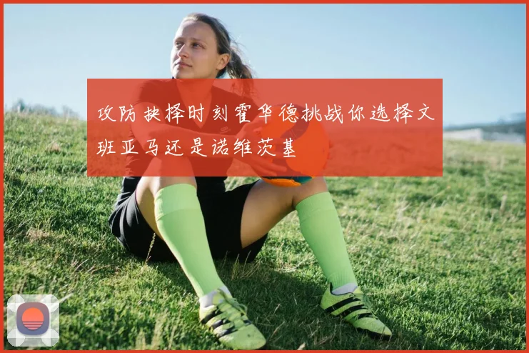 攻防抉择时刻霍华德挑战你选择文班亚马还是诺维茨基